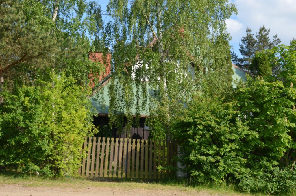 Holiday Villa Żuromin المظهر الخارجي الصورة